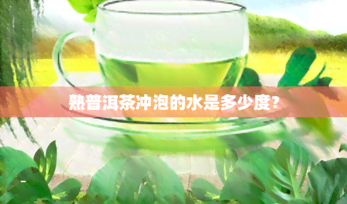 熟普洱茶冲泡的水是多少度？