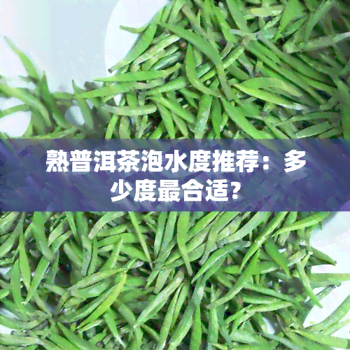 熟普洱茶泡水度推荐：多少度最合适？