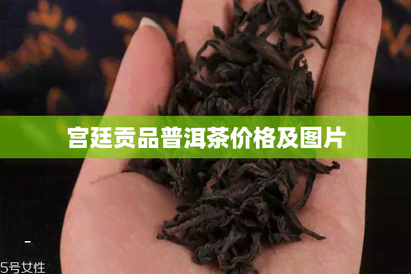 宫廷贡品普洱茶价格及图片