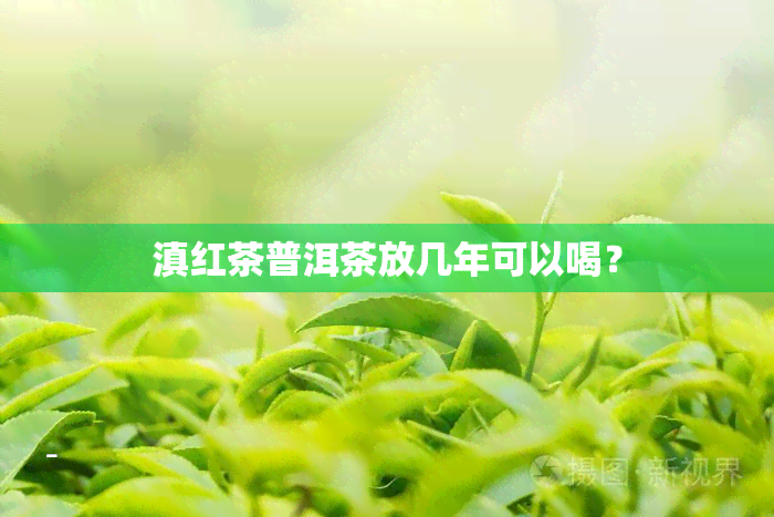 滇红茶普洱茶放几年可以喝？