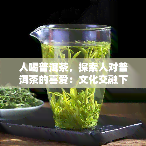 人喝普洱茶，探索人对普洱茶的喜爱：文化交融下的茶道体验