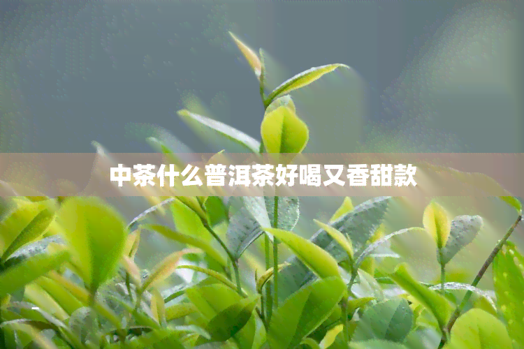 中茶什么普洱茶好喝又香甜款