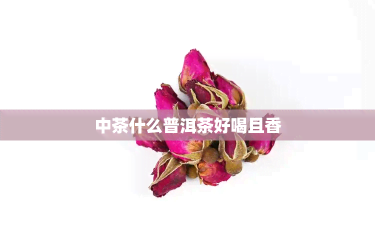 中茶什么普洱茶好喝且香