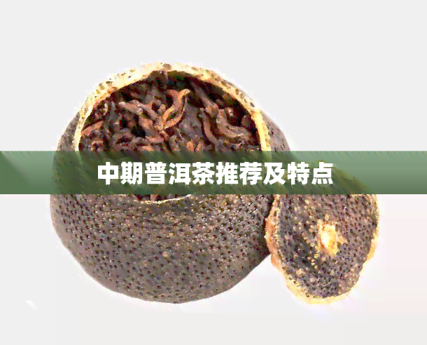 中期普洱茶推荐及特点