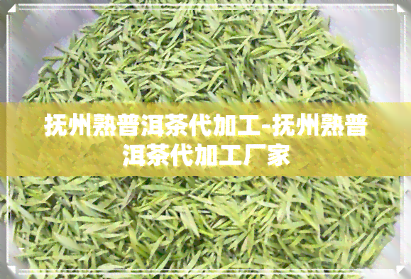 抚州熟普洱茶代加工-抚州熟普洱茶代加工厂家