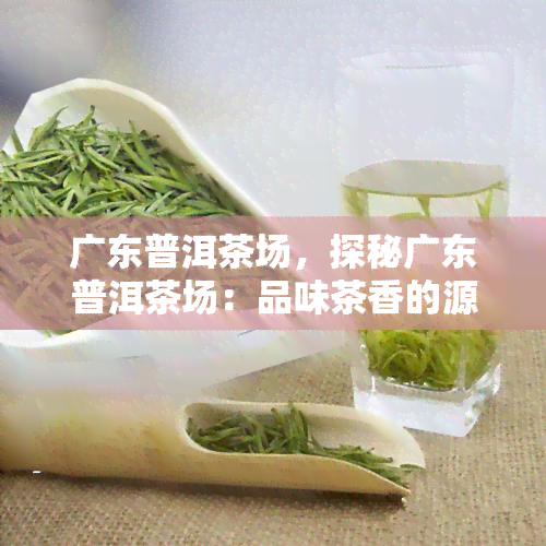 广东普洱茶场，探秘广东普洱茶场：品味茶香的源头