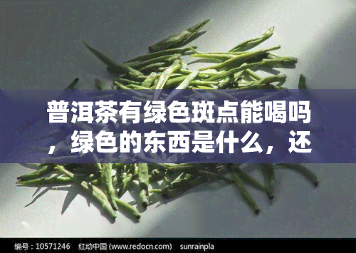 普洱茶有绿色斑点能喝吗，绿色的东西是什么，还能喝吗？