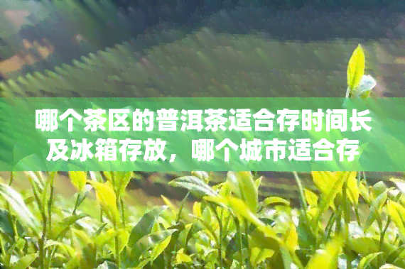 哪个茶区的普洱茶适合存时间长及冰箱存放，哪个城市适合存放普洱茶值得收藏