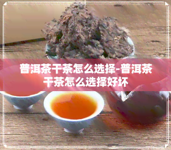 普洱茶干茶怎么选择-普洱茶干茶怎么选择好坏