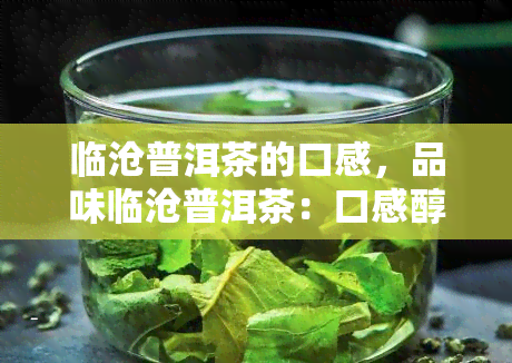 临沧普洱茶的口感，品味临沧普洱茶：口感醇厚，回味悠长的品茗之旅