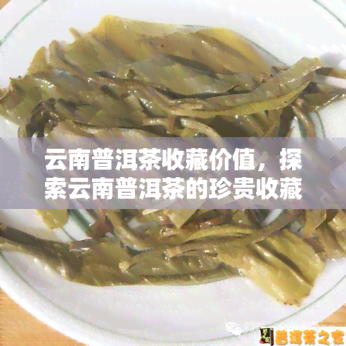 云南普洱茶收藏价值，探索云南普洱茶的珍贵收藏之道