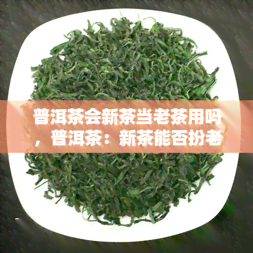 普洱茶会新茶当老茶用吗，普洱茶：新茶能否扮老茶？探讨茶叶的存放和鉴别