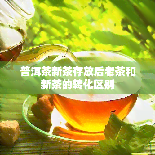 普洱茶新茶存放后老茶和新茶的转化区别