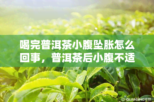 喝完普洱茶小腹坠胀怎么回事，普洱茶后小腹不适？了解坠胀原因与解决方法