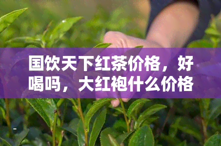 国饮天下红茶价格，好喝吗，大红袍什么价格，普洱茶饼价格