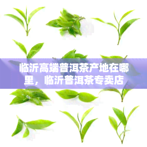 临沂高端普洱茶产地在哪里，临沂普洱茶专卖店