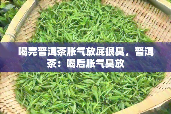 喝完普洱茶胀气放屁很臭，普洱茶：喝后胀气臭放