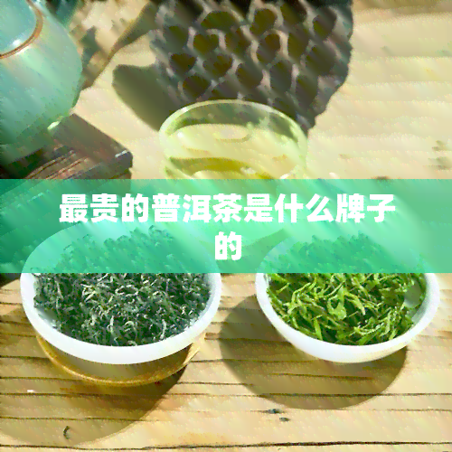 最贵的普洱茶是什么牌子的