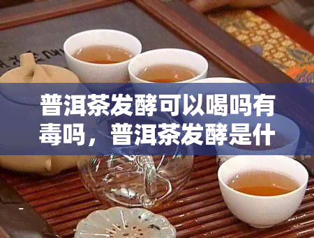 普洱茶发酵可以喝吗有吗，普洱茶发酵是什么意思，发酵的普洱茶能致癌吗