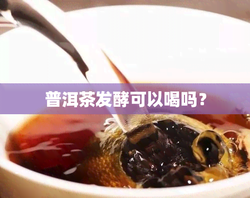 普洱茶发酵可以喝吗？