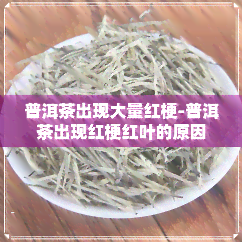 普洱茶出现大量红梗-普洱茶出现红梗红叶的原因