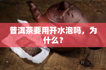 普洱茶要用开水泡吗，为什么？