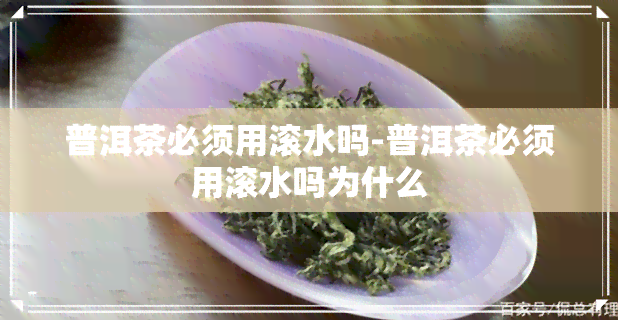 普洱茶必须用滚水吗-普洱茶必须用滚水吗为什么