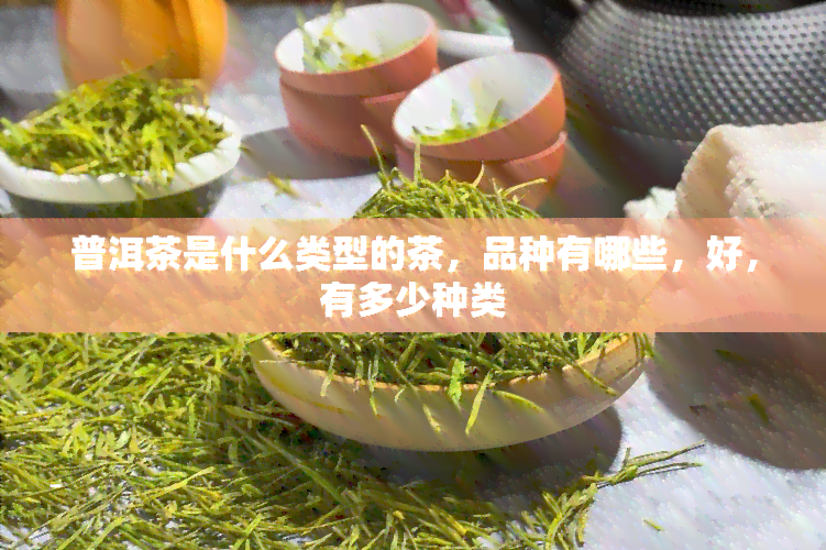 普洱茶是什么类型的茶，品种有哪些，好，有多少种类