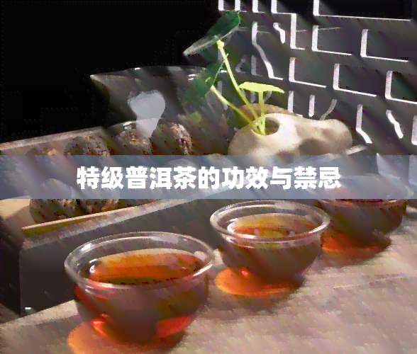 特级普洱茶的功效与禁忌