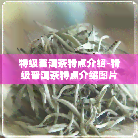 特级普洱茶特点介绍-特级普洱茶特点介绍图片