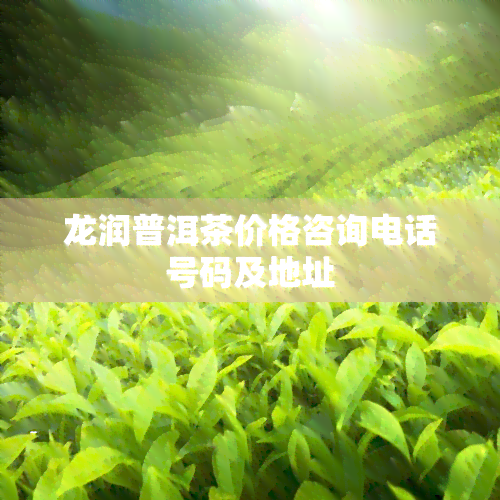 龙润普洱茶价格咨询电话号码及地址