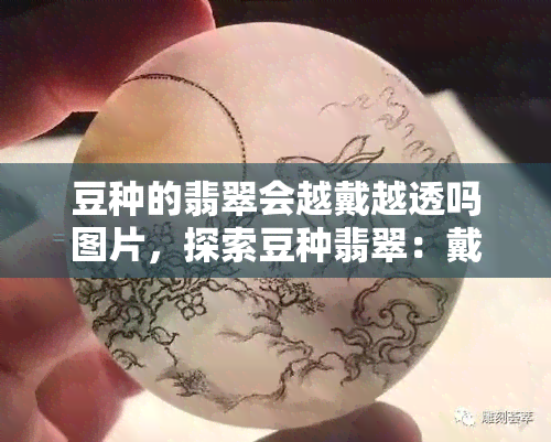 豆种的翡翠会越戴越透吗图片，探索豆种翡翠：戴着越久，光彩愈显？