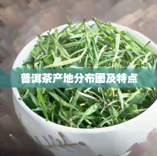 普洱茶产地分布图及特点