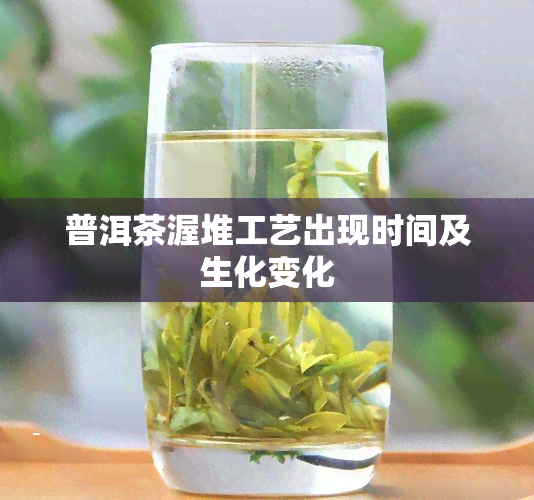 普洱茶渥堆工艺出现时间及生化变化