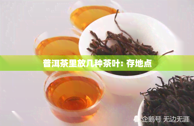 普洱茶里放几种茶叶: 存地点