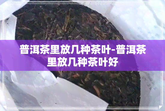 普洱茶里放几种茶叶-普洱茶里放几种茶叶好