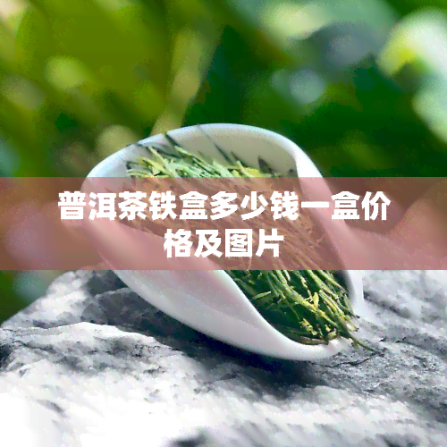 普洱茶铁盒多少钱一盒价格及图片