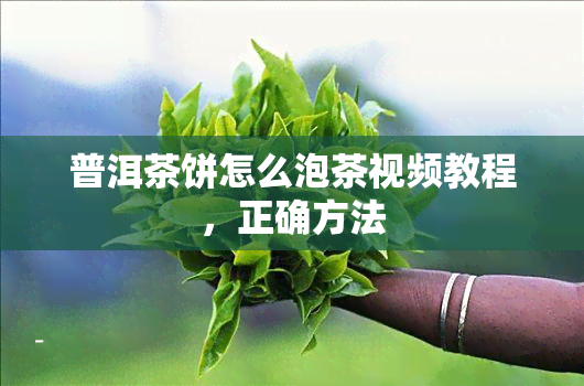 普洱茶饼怎么泡茶视频教程，正确方法