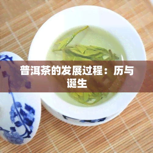 普洱茶的发展过程：历与诞生