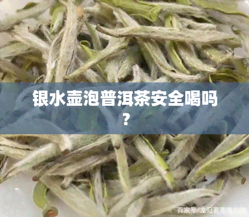 银水壶泡普洱茶安全喝吗？