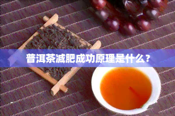 普洱茶减肥成功原理是什么？