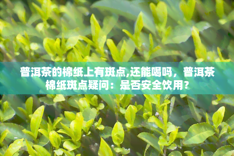 普洱茶的棉纸上有斑点,还能喝吗，普洱茶棉纸斑点疑问：是否安全饮用？