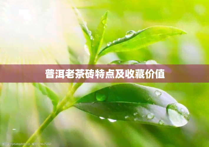 普洱老茶砖特点及收藏价值