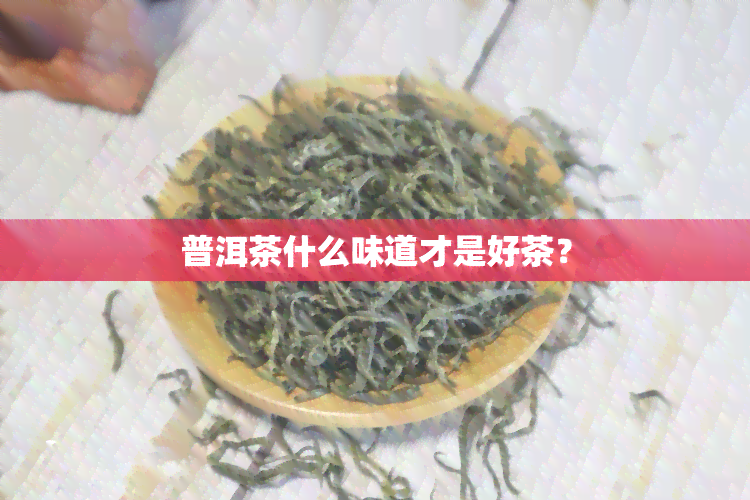 普洱茶什么味道才是好茶？