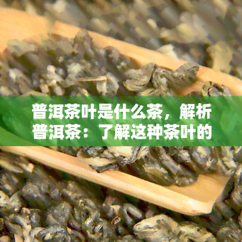 普洱茶叶是什么茶，解析普洱茶：了解这种茶叶的起源和特点