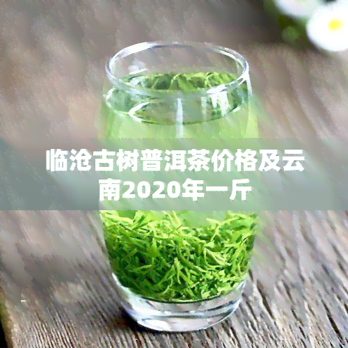 临沧古树普洱茶价格及云南2020年一斤