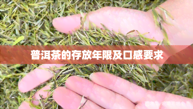 普洱茶的存放年限及口感要求