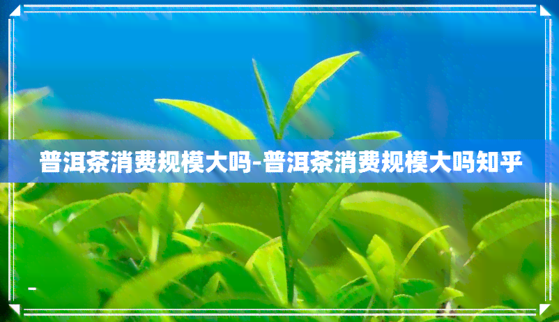 普洱茶消费规模大吗-普洱茶消费规模大吗知乎