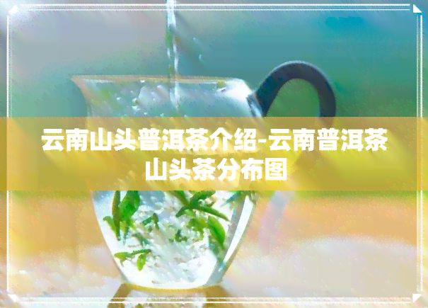 云南山头普洱茶介绍-云南普洱茶山头茶分布图