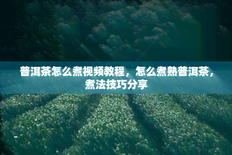 普洱茶怎么煮视频教程，怎么煮熟普洱茶，煮法技巧分享